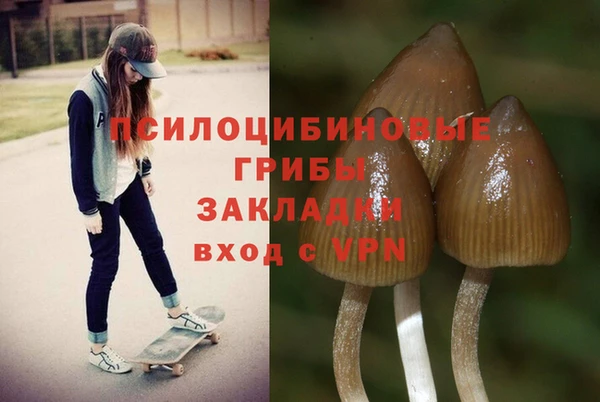 а пвп мука Бугульма