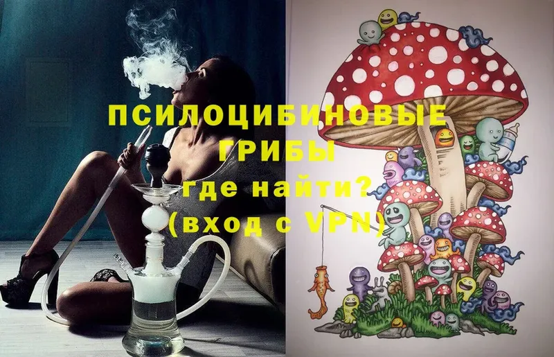 Галлюциногенные грибы Magic Shrooms  магазин продажи   Новопавловск 